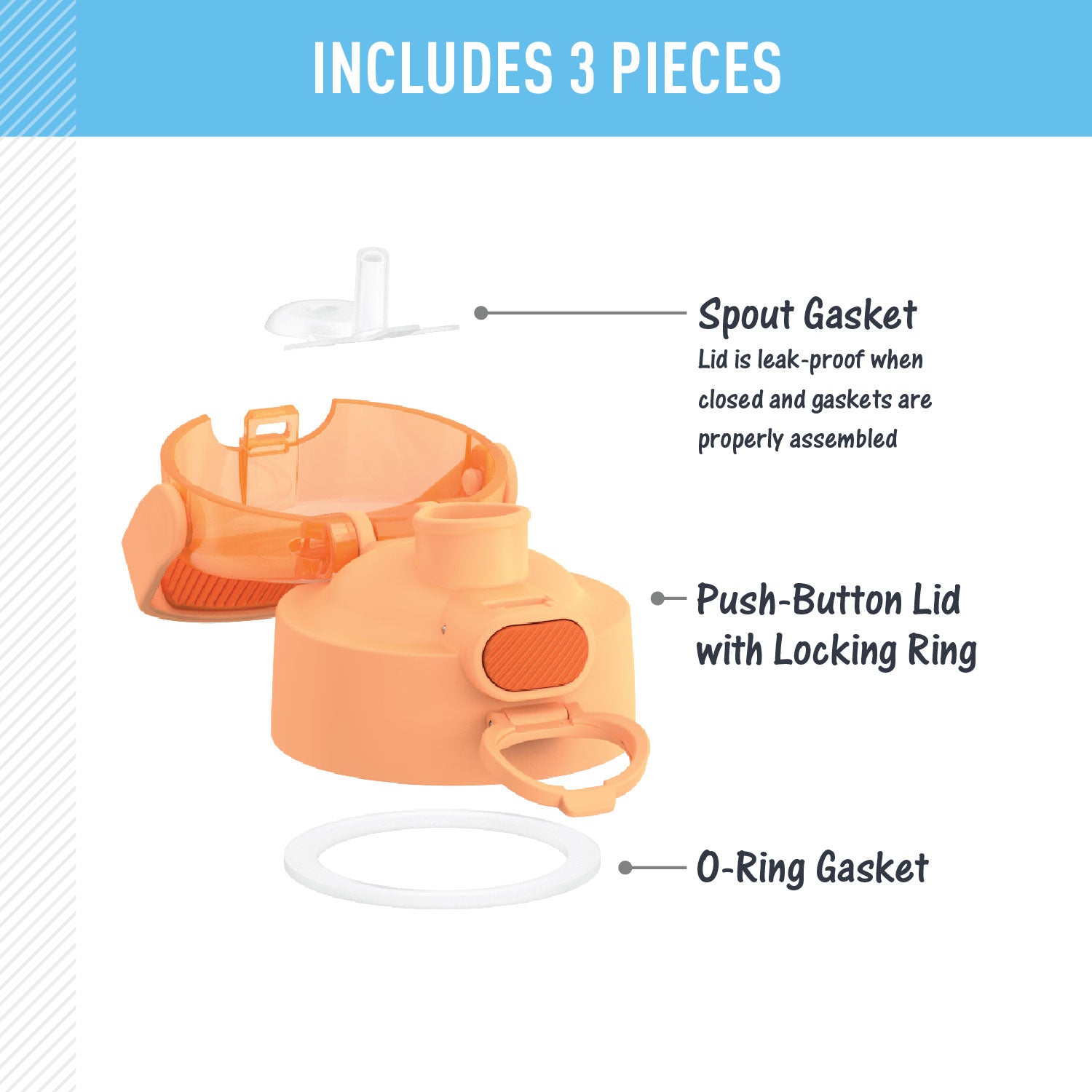 FUNTAINER® WATER BOTTLE - REPLACEMENT SPOUT LOCKING LID - Image 32